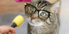 1575225442326.png