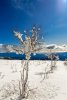 IMG_7992.jpg