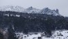 DSC02282.jpg