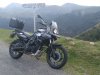 IMG_20191012_112828_838.jpg
