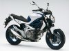 suzuki_gladius_650_01.jpg
