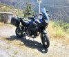 DSC_0842.JPG
