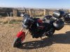 IMG_1350.jpeg