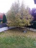 IMG_20191103_110519.jpg