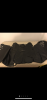4439EDDF-EDB5-478A-9F0E-2A5515BA68AD.png