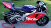 loris-3.jpg