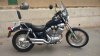 DSC_0177.jpg