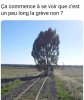 GREVE.jpg