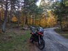 IMG_20191026_170127-01.jpeg