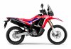 honda-crf-250rally-pautravelmoto-h.jpg