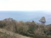 IMG-20200124-WA0005.jpg