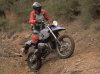 bmw-hp2-enduro-9.jpg