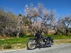IMG_20200126_122028.jpg