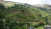 IMG-20180601-WA0019.jpg
