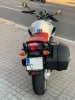IMG_E7837 1.jpg