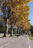 LCN Treffen ruta Roses-Setcases oct 2015-24.jpg