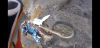 Screenshot_20200306-223424.png