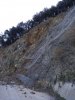 IMG_20200308_095738_109.jpg