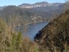 IMG_20200308_094658_531.jpg