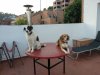 IMG-20180702-WA0002.jpg