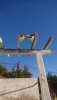 IMG-20190212-WA0002.jpeg