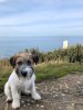 IMG-20191206-WA0021.jpg