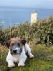 IMG-20191206-WA0022.jpg