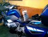 IMG_20161031_202800.jpg