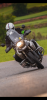 JoanC_RIder1000.png