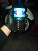 IMG_20200403_223952.jpg