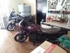 IMG_20200306_155453.jpg