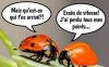 PERMIS CONDUIRE.jpg