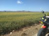 IMG_20170514_105552.jpg