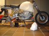 DSC01575.jpg