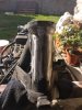 IMG_20200506_183815.jpg