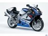 64409-suzuki-tl1000r_mp51_pic_31379.jpg