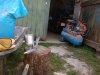 IMG_20200511_163226.jpg