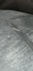 30637C69-938C-486A-8C7F-584A8077981A.png