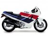 Honda_CBR600F_1989-2.jpg