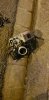 IMG-20200207-WA0006.jpg