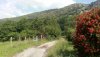 IMG_20200517_122056.jpg