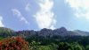 IMG_20200517_122119~2.jpg