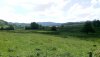 IMG_20200517_125012.jpg