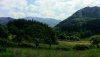 IMG_20200517_130757~2.jpg