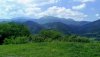 IMG_20200517_131215~2.jpg
