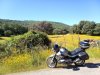 IMG_20200518_113101.jpg