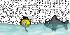 3060371954.gif
