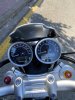 IMG_4630.jpeg