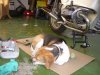 DSCN1399.jpg