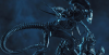 1593017081100.png